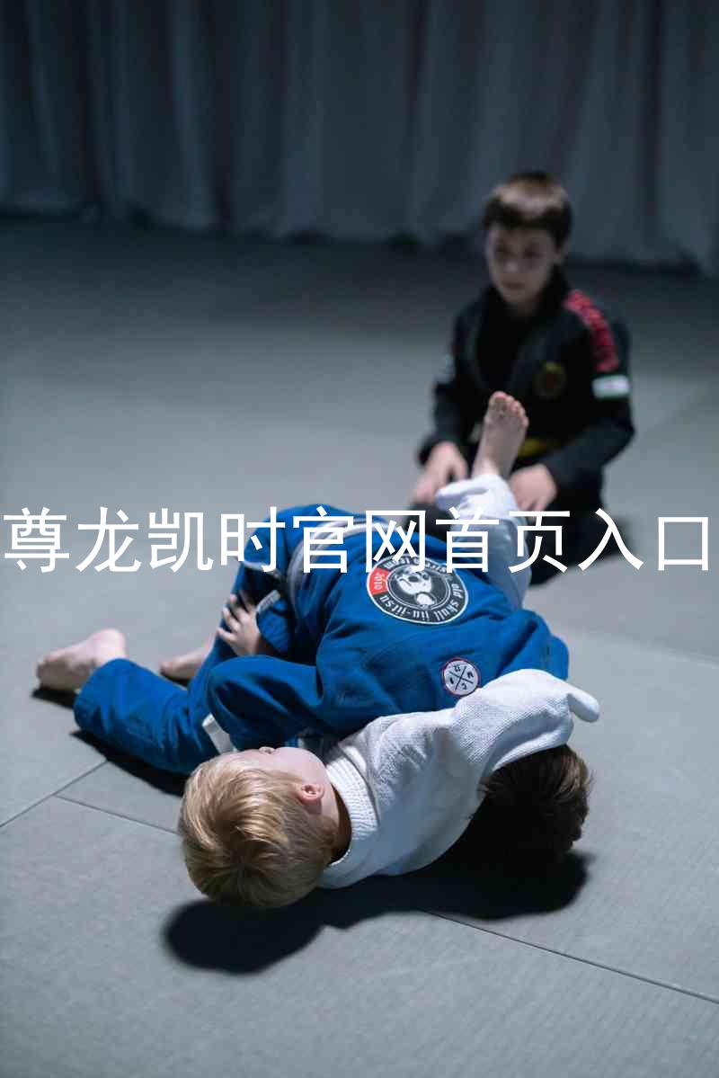 尊龙凯时官网首页入口
