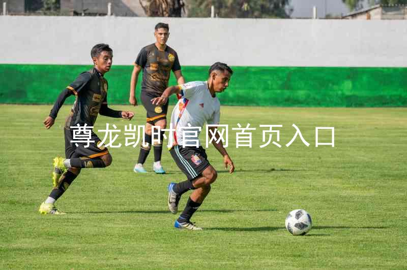 尊龙凯时官网首页入口