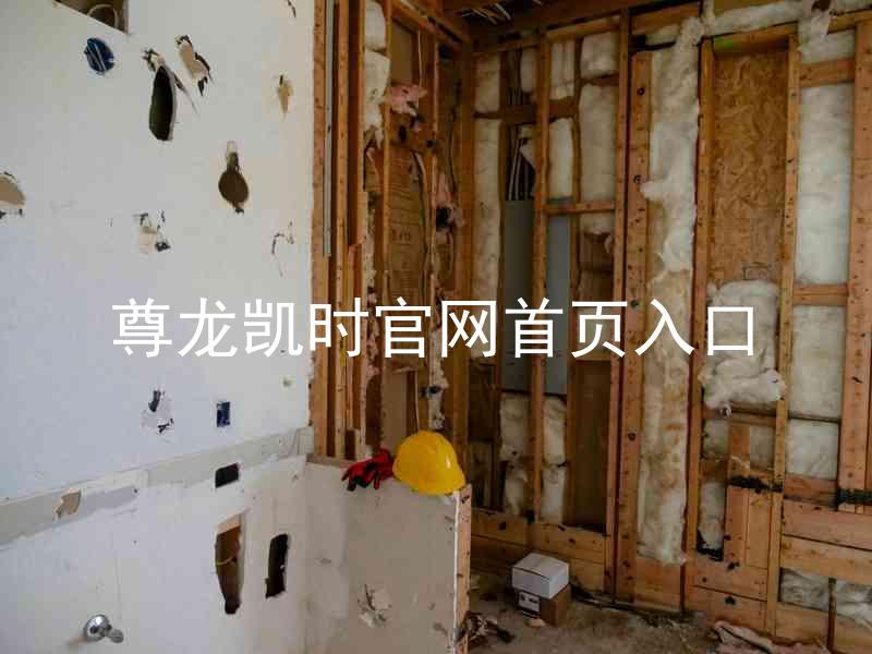 尊龙凯时官网首页入口